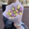 25 кремовых и сиреневых пионовидных тюльпанов