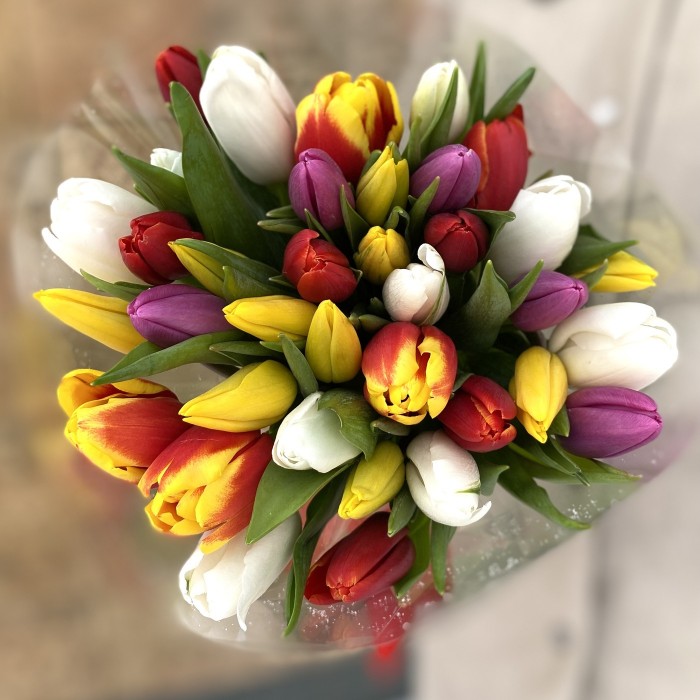 35 тюльпанов