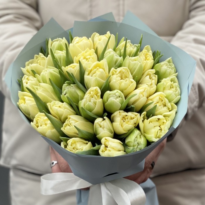 35 кремовых пионовидных тюльпанов Авангард