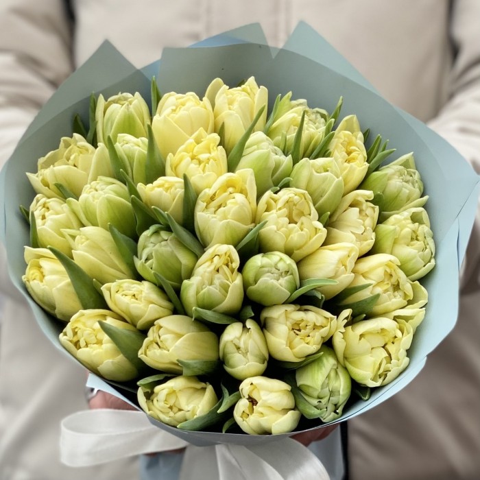 35 кремовых пионовидных тюльпанов Авангард