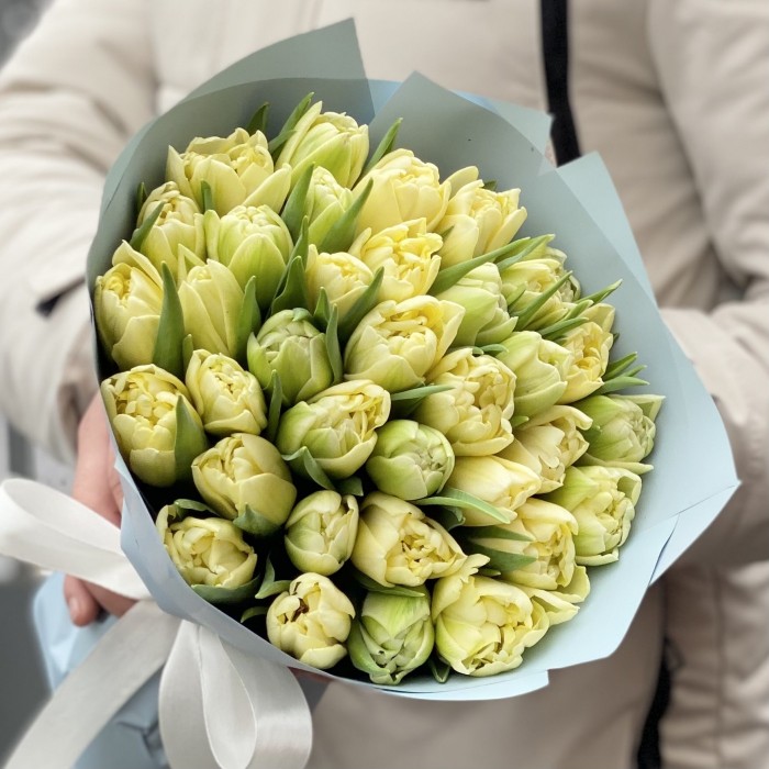 35 кремовых пионовидных тюльпанов Авангард