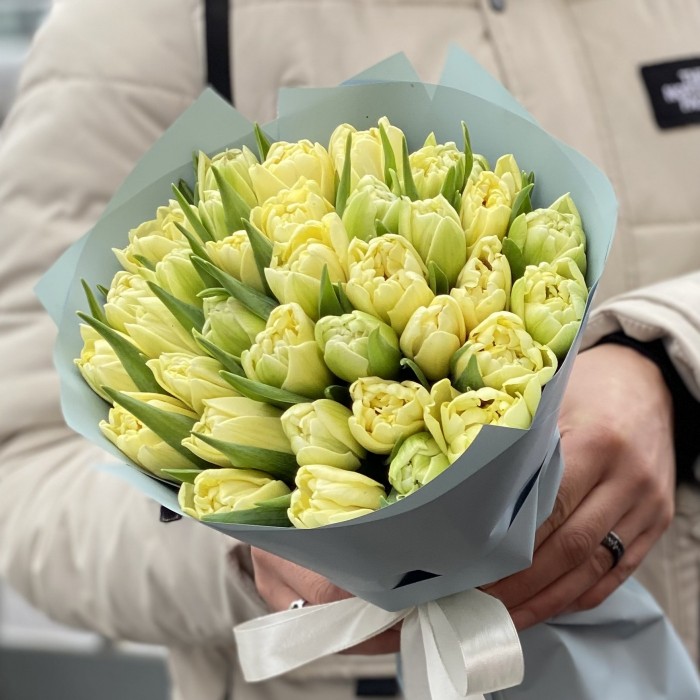 35 кремовых пионовидных тюльпанов Авангард