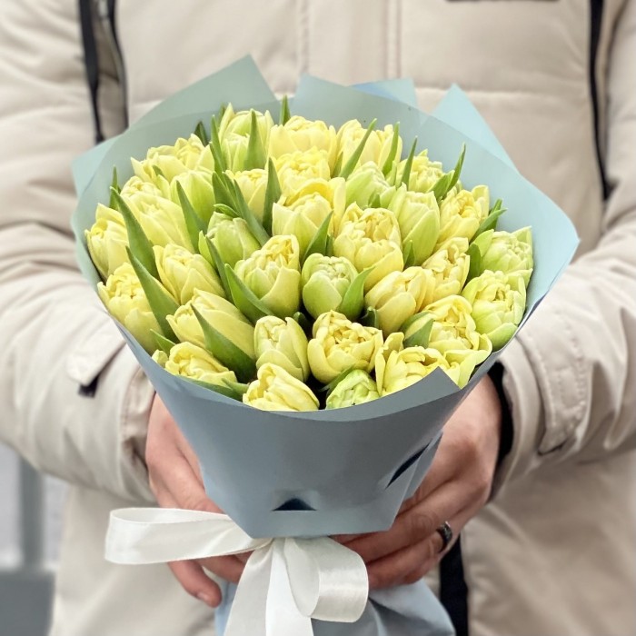 35 кремовых пионовидных тюльпанов Авангард