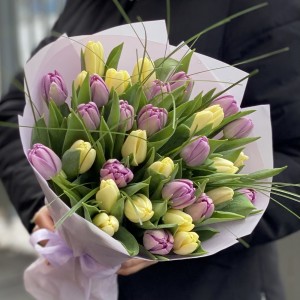 35 пионовидных сиреневых и кремовых тюльпанов