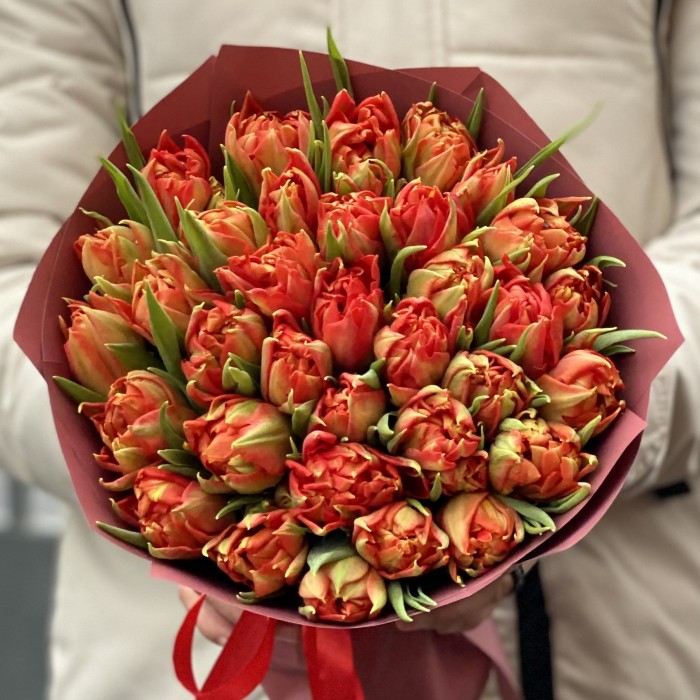 35 красных пионовидных тюльпанов Абба