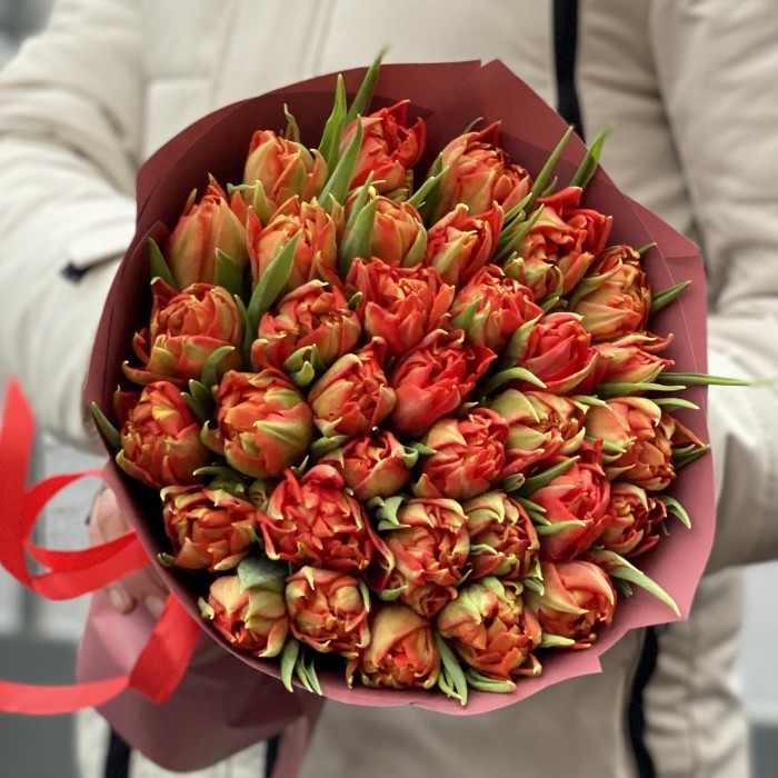 35 красных пионовидных тюльпанов Абба