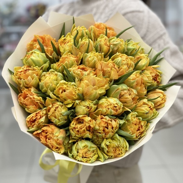 35 желтых  пионовидных  тюльпанов Орка