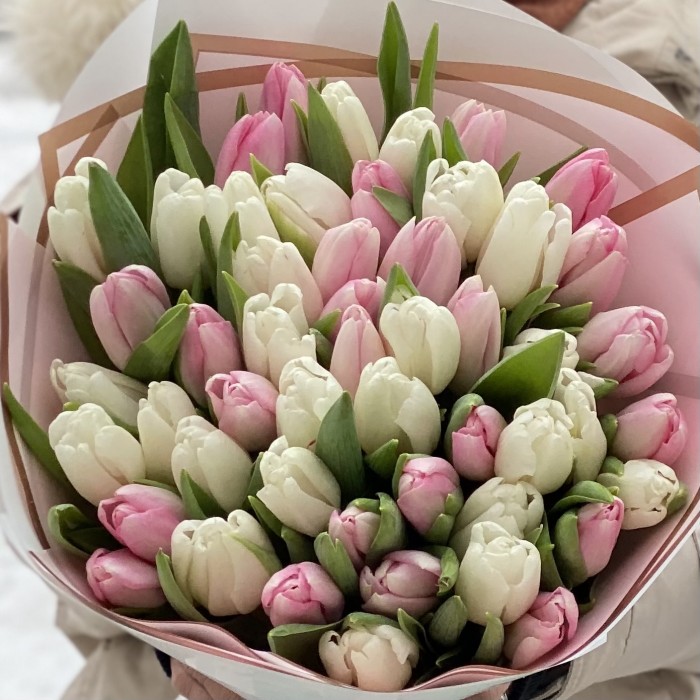 Букет из 51 тюльпана - бело-розовый микс