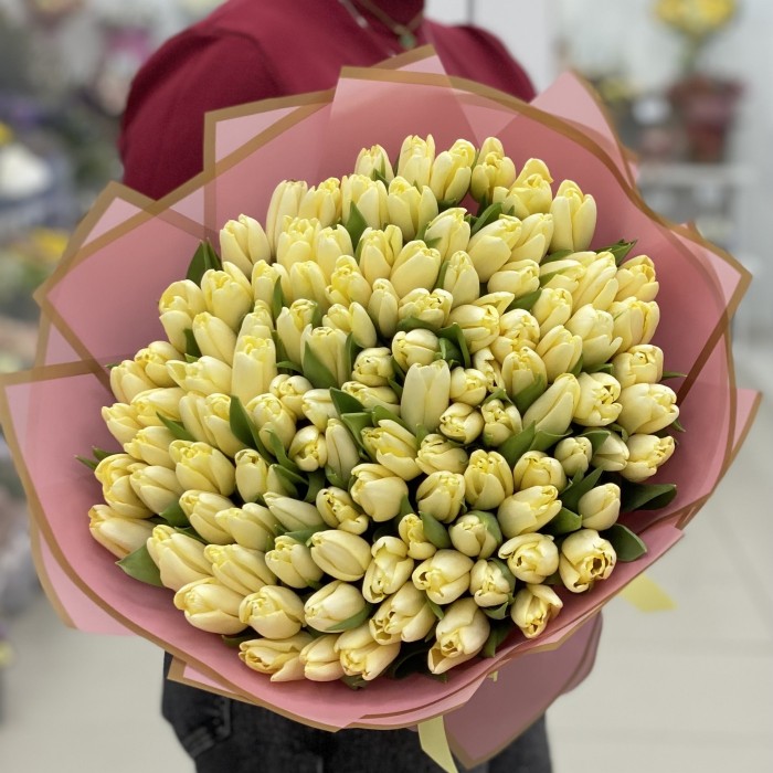 101 желто-кремовый тюльпан