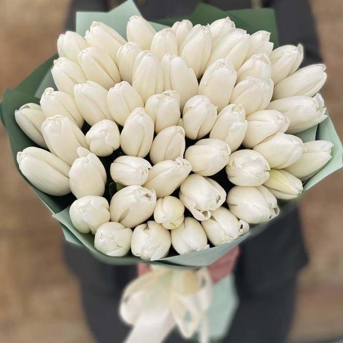 51 белый тюльпан