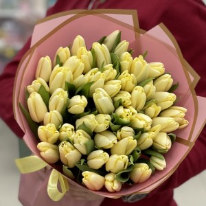 51 желто-кремовый тюльпан