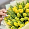51 пионовидный желтый тюльпан