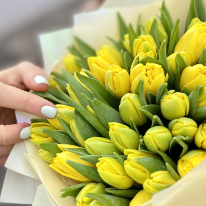 51 пионовидный желтый тюльпан