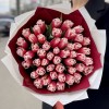 51 красно-белый махровый тюльпан