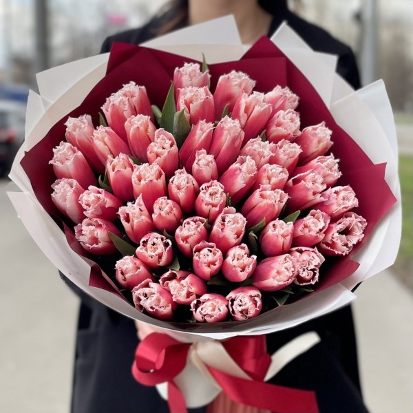 51 красно-белый махровый тюльпан