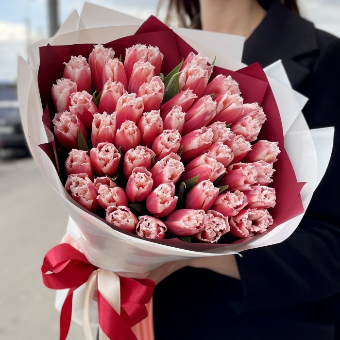 51 красно-белый махровый тюльпан