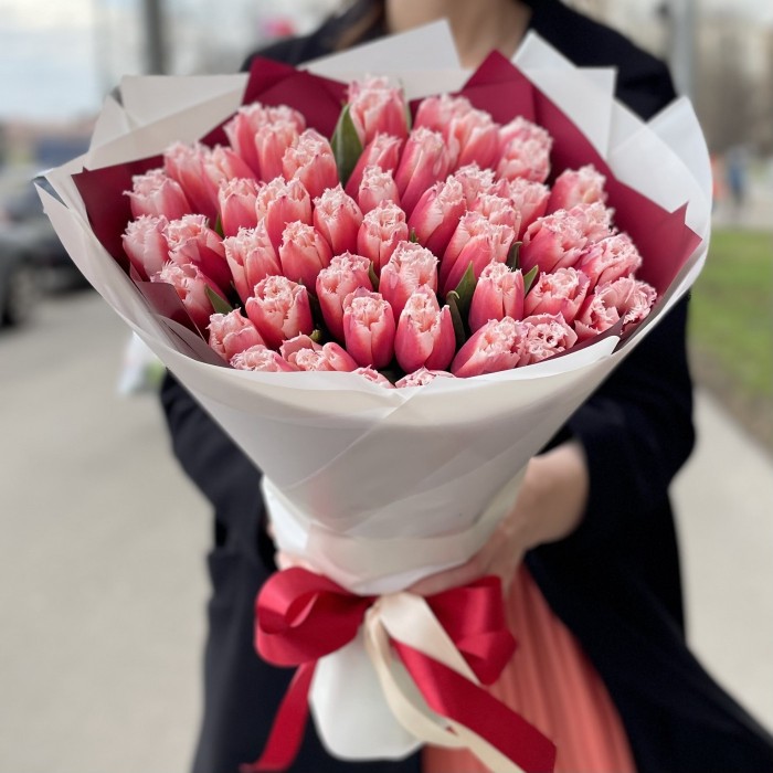 51 красно-белый махровый тюльпан