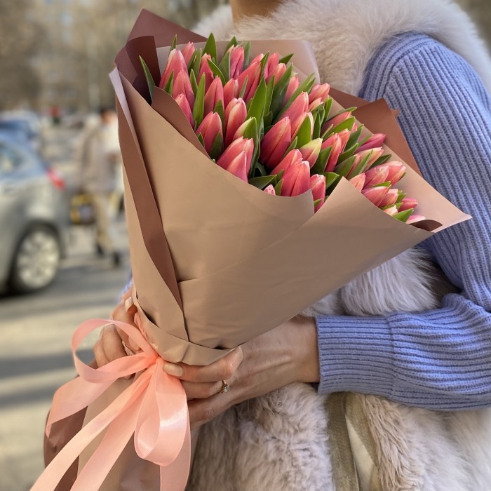 51 красно-белый тюльпан