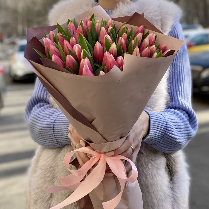 51 красно-белый тюльпан