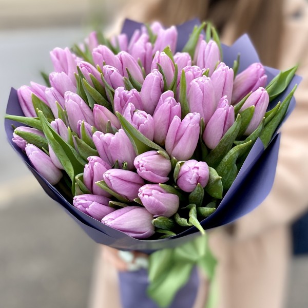 51 лиловый тюльпан