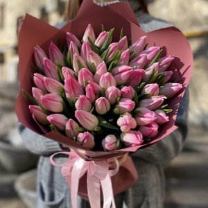 51 нежно-розовый тюльпан