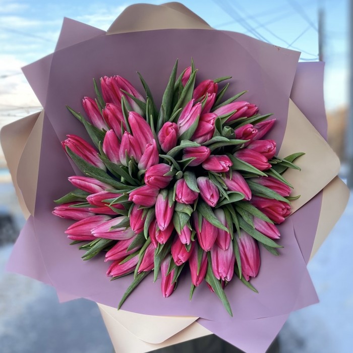 51 розовый тюльпан Bolroyal Pink