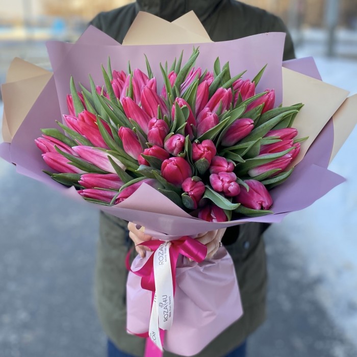 51 розовый тюльпан Bolroyal Pink