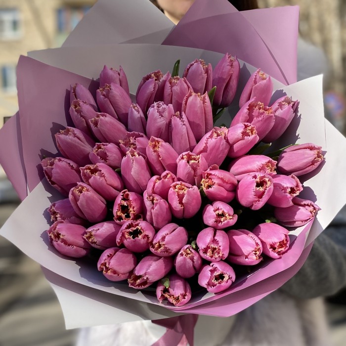 51 розовый тюльпан Лувр