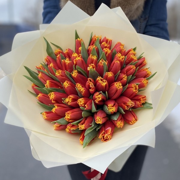 51 тюльпан Давенпорт