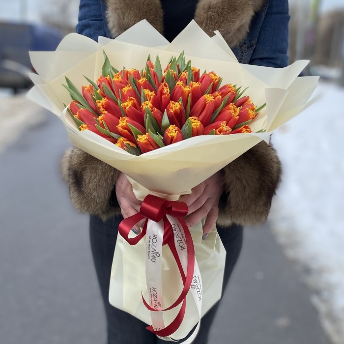 51 тюльпан Давенпорт