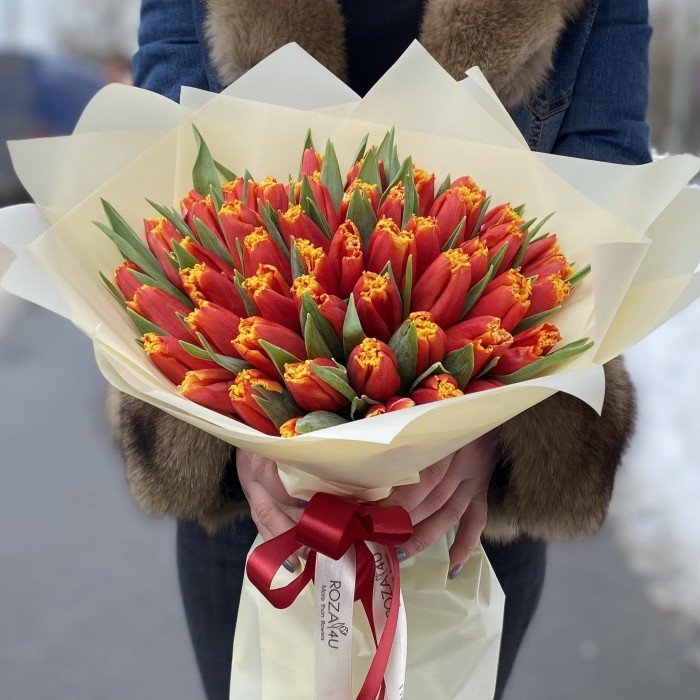 51 тюльпан Давенпорт