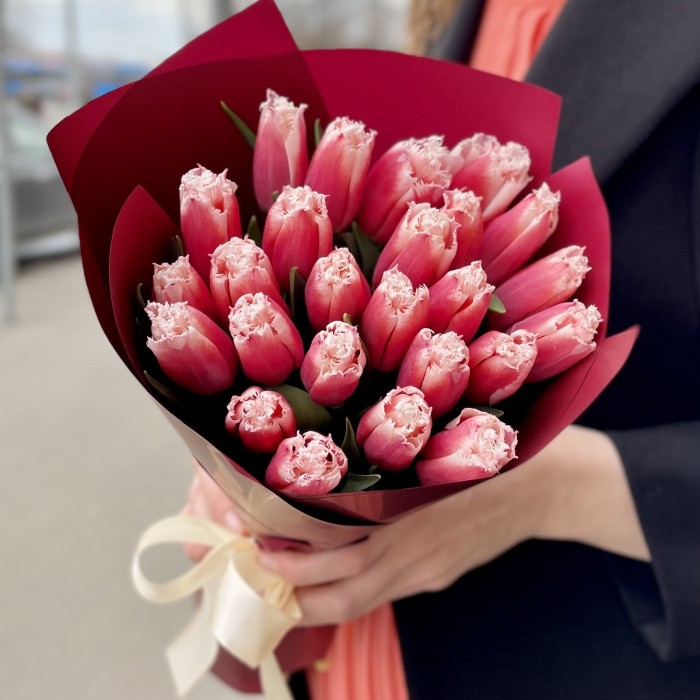 25 красно-белых махровых тюльпанов New santa