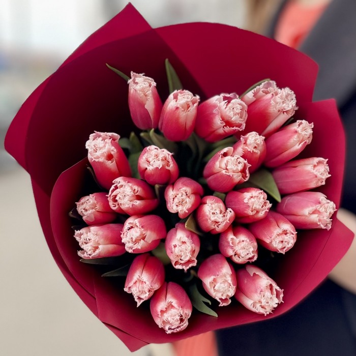 25 красно-белых махровых тюльпанов New santa