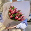 25 красно-белых тюльпанов