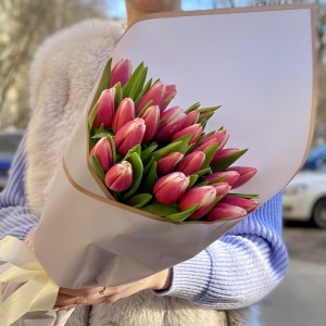 25 красно-белых тюльпанов 25 красно-белых тюльпанов