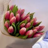 25 красно-белых тюльпанов