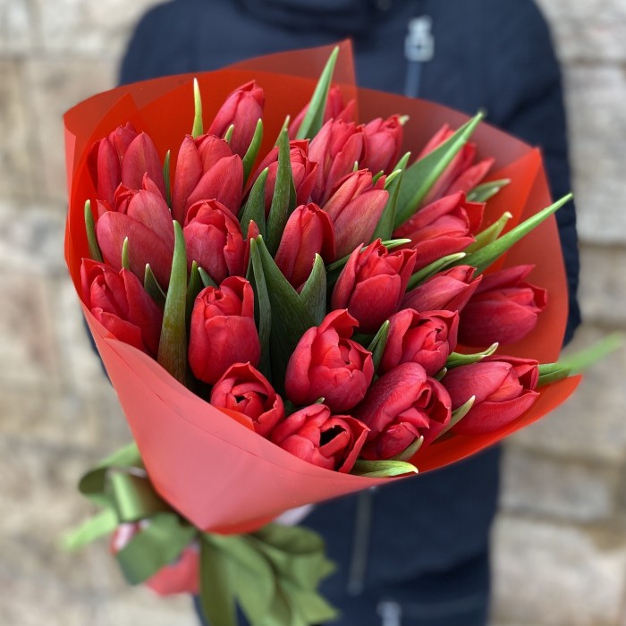 25 красных тюльпанов