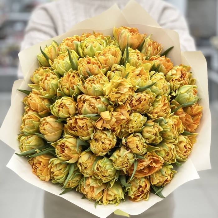 51 желтый  пионовидный тюльпан Орка