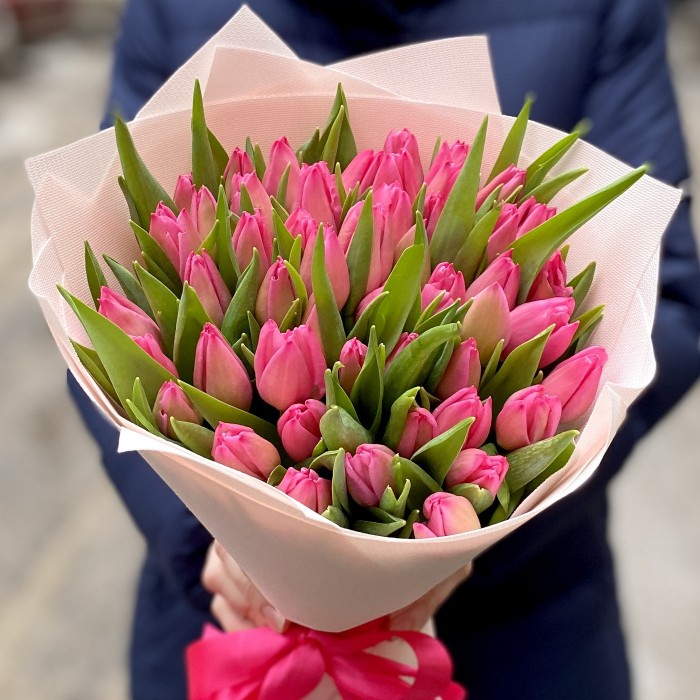 51 розовый тюльпан