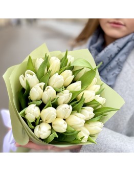 25 белых тюльпанов