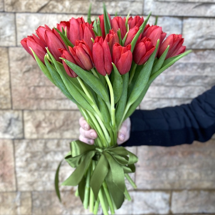 Тюльпан красный (Red life)