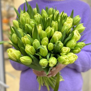 Желтый пионовидный тюльпан (Verona)