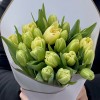 25 белых тюльпанов Верона