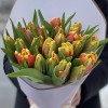 25 красно-желтых тюльпанов Диджей перот