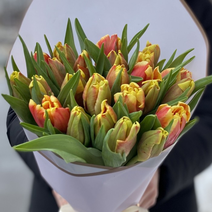 25 красно-желтых тюльпанов Диджей перот