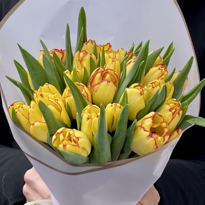 25 желтых тюльпанов Кейп таун