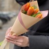 5 ярких тюльпанов