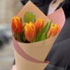 5 ярких тюльпанов