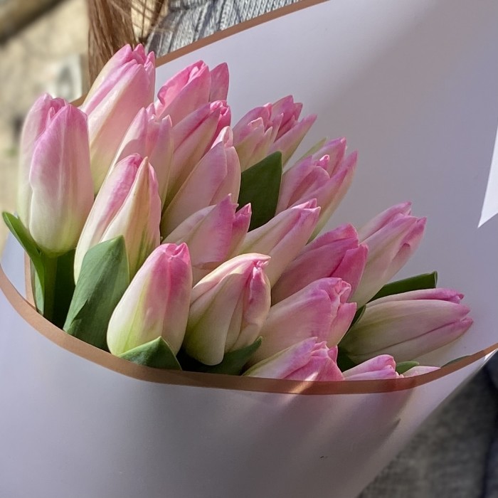 Букет 25 нежно-розовых тюльпанов
