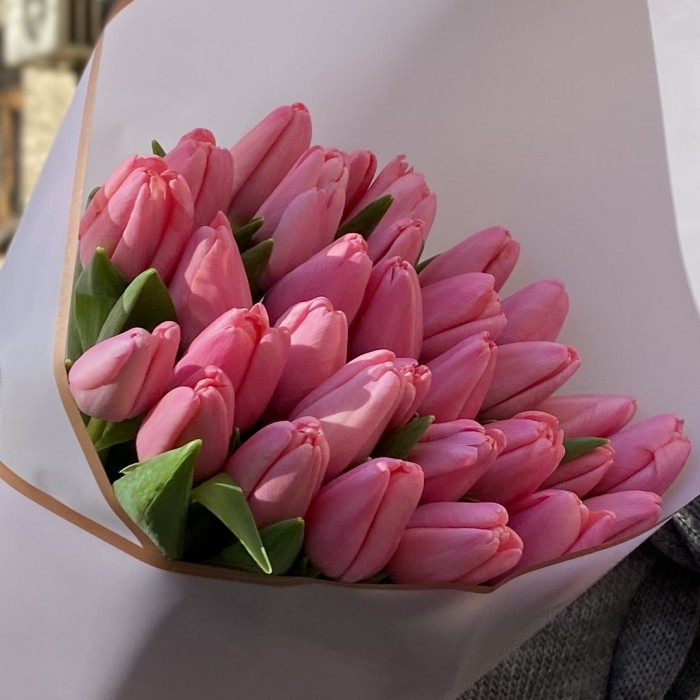 Букет 25 розовых тюльпанов Трезор